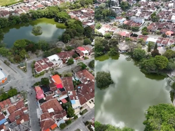 El lugar donde cientos de garzas blancas pasan la tarde: el lago ecologico más querido en Tuluá