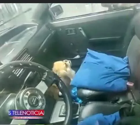 encerrado