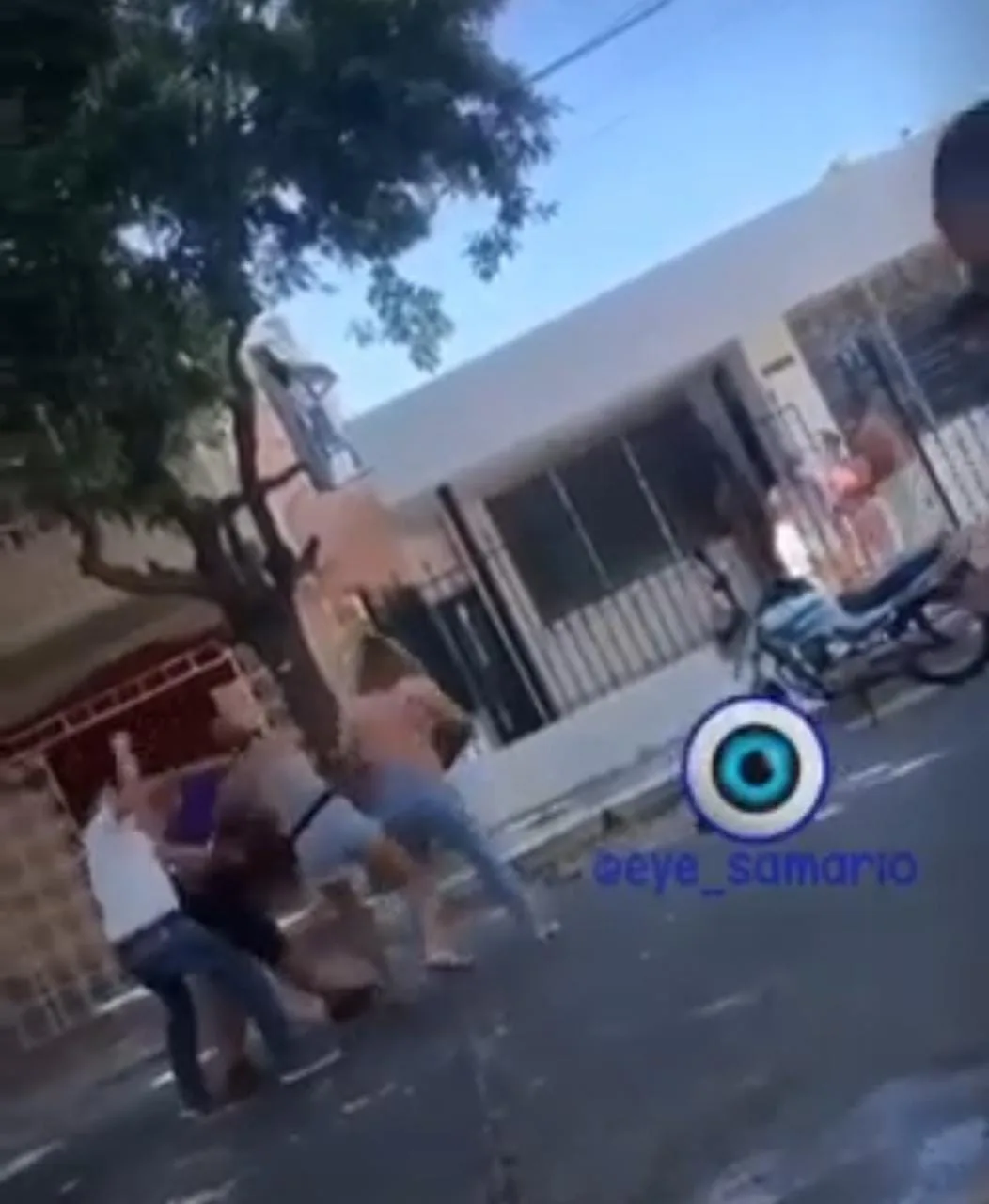 perro excremento en Santa Marta pelea