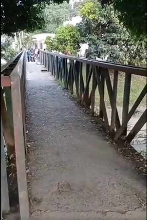 en Los Mangos
