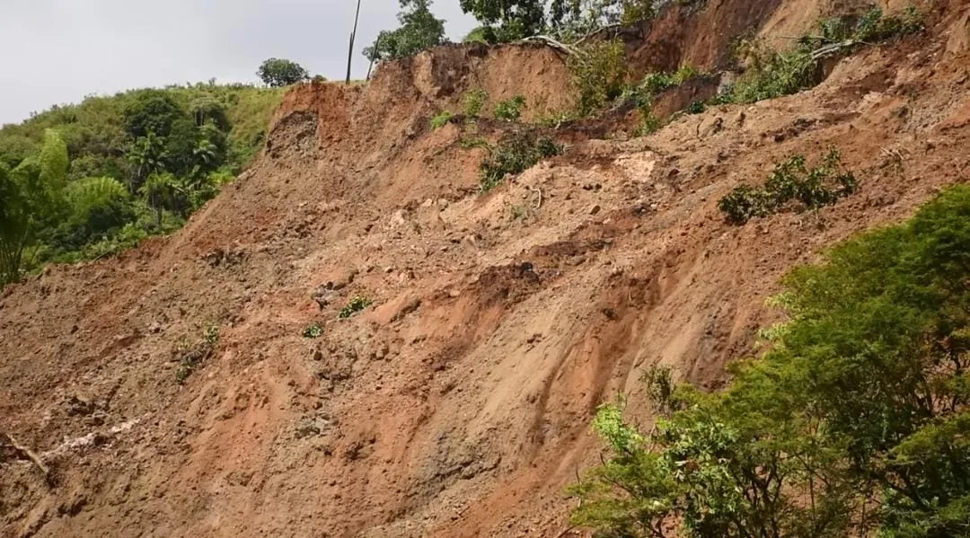 Damnificados Rosas Cauca