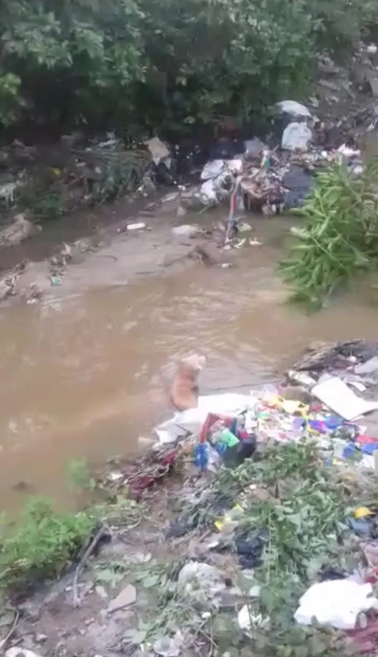 en Malambo