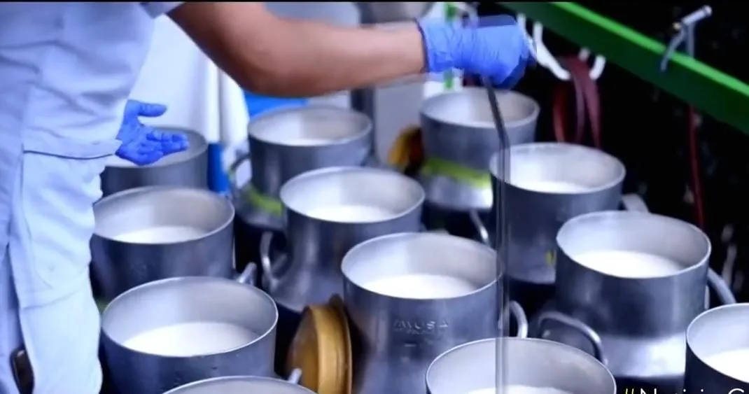 República Dominicana autorizó que lácteos colombianos ingresaran al mercado de ese país