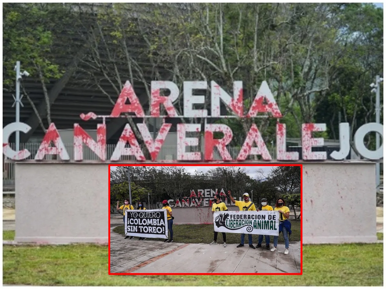 Con pintura roja 'mancharon' letrero de la plaza de toros en Cali, activistas protestaron por regreso de temporada taurina