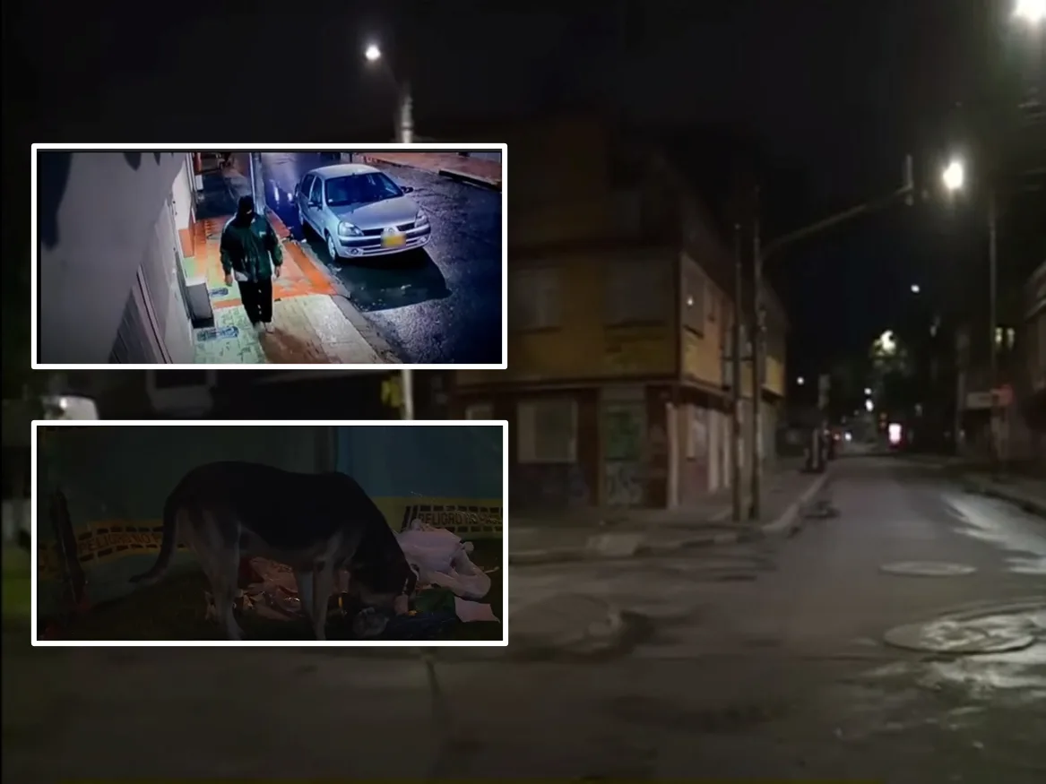 En Bogotá estarían envenenando perros que cuidan casas 'silenciarlos' y luego ingresar a robar