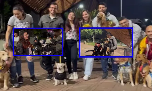perros moto viajeros Cali