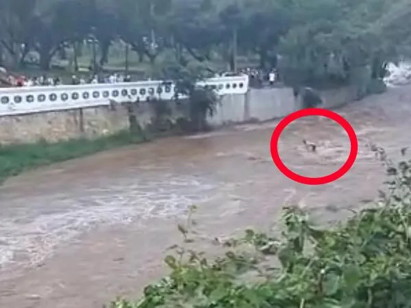 río Cali creciente