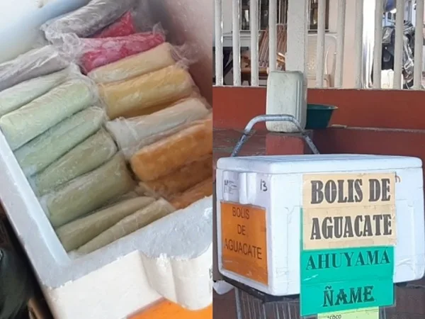 bolis de ahuyama y aguacate
