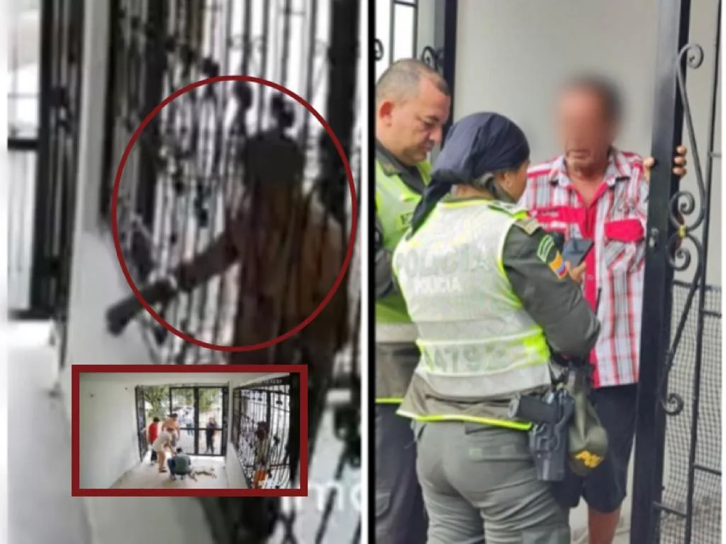 Vecino de 80 años de edad quedó grabado envenenando al perro del vecino, en Villavicencio
