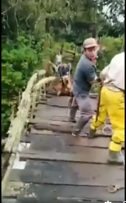 de Tuluá