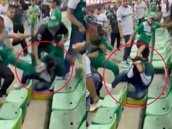Estadio Palmaseca: A "puños y patadas" es agredido hincha del equipo visitantes en partido Cali vs Millonarios