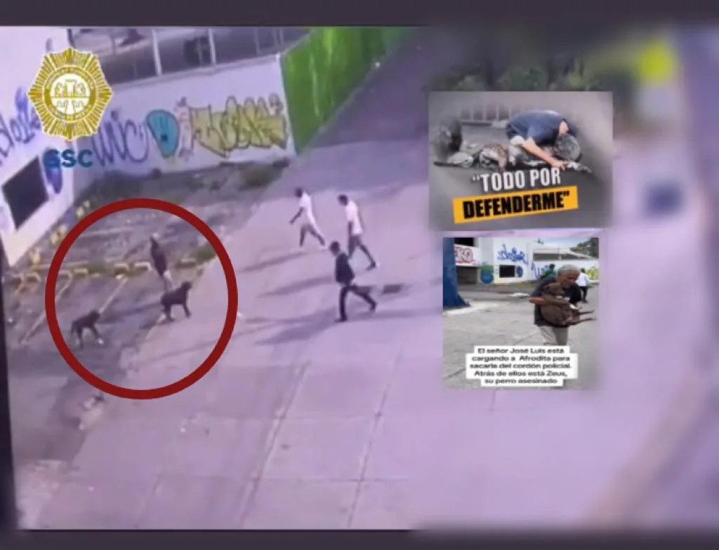 ¡Justicia para Zeus!, defendió a su humano de un asalto y el ladrón volvió para dispararle