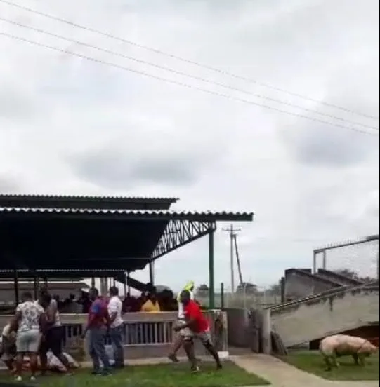 Agroporcícola La Holanda