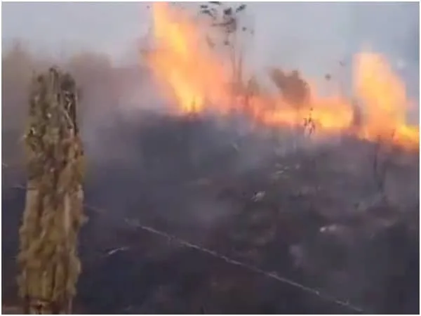 Tres incendios forestales despiertan alarma en Boyacá