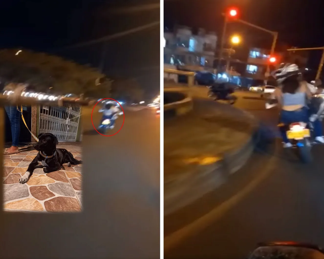 "Ey allá se les quedó el perro, piro$%": Denuncian el abandono de una mascota en Cali