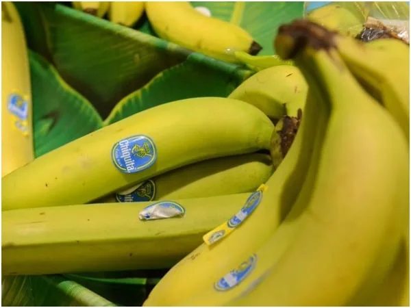 Chiquita Brands International condenada a pagar 38,3 millones por vínculos con paramilitarismo en Colombia
