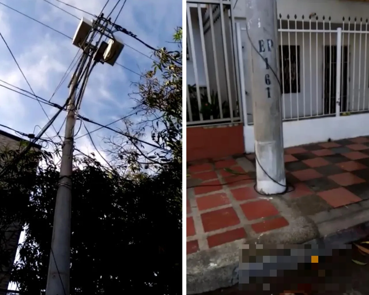 Denuncian que líneas de energía "expuestas y energizadas" han electrocutado a varias ardillas en La Unión, Barranquilla