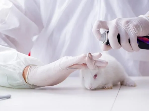 En agosto 2024 empezará a regir la ley que prohíbe las pruebas cosméticas con animales en Colombia