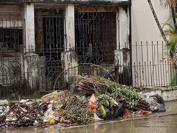 Caos en cementerio de Nariño: restos humanos arrojados en las calles y hasta los perros