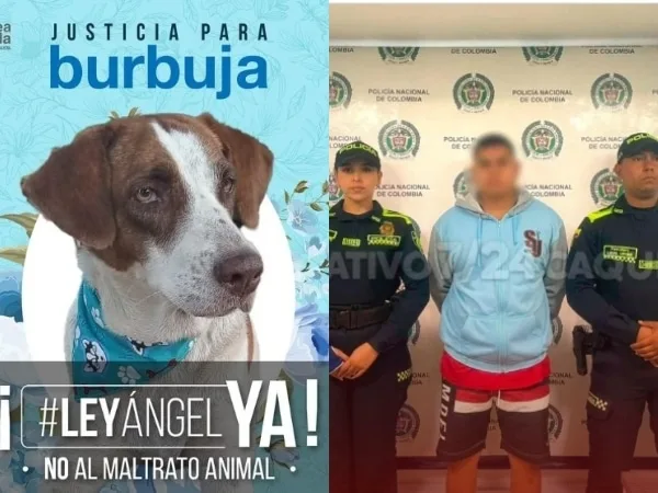 "¿Justicia del silencio e impunidad?": Abusador de 'Burbuja' sigue libre "por su discapacidad auditiva"
