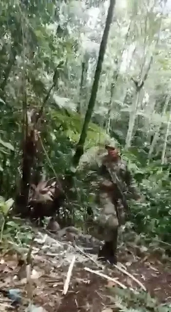 en Los Farallones de Cali 