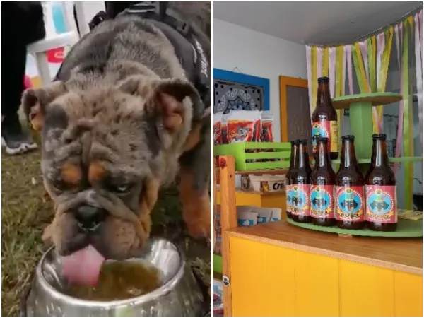 En el "Pola Fest" en Bucaramanga, presentaron una cerveza especialmente para perros