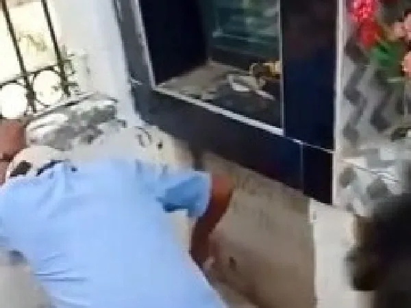 Tres gatos encerrados en una tumba.