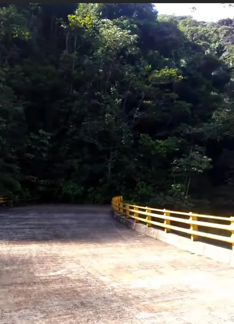 puente Putumayo elefante blanco