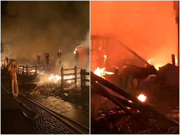 Voraz incendio destruyó estación ganadera de Panaca, varios animales resultaron con quemaduras