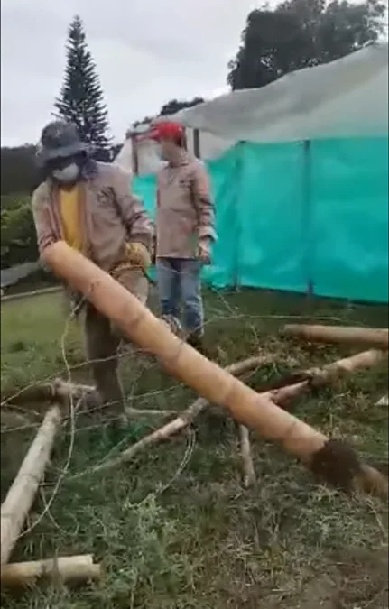 en Palmira
