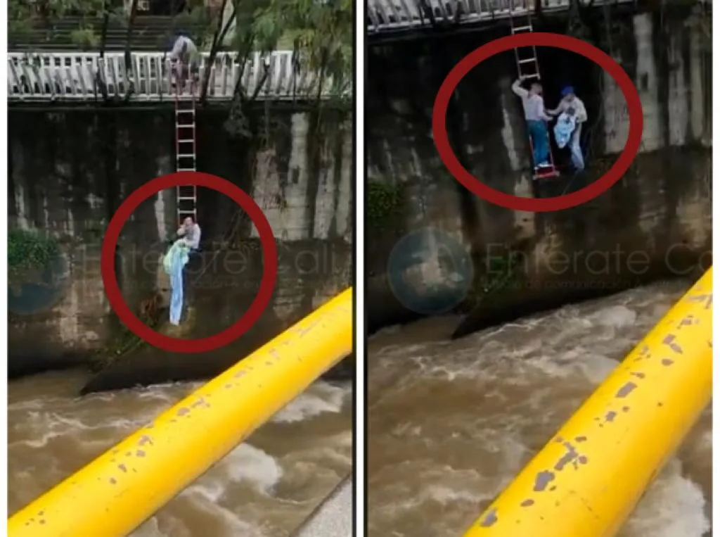 Un arriesgado rescate: el perro estaba atrapado en el río Cali y dos hombres lo sacaron