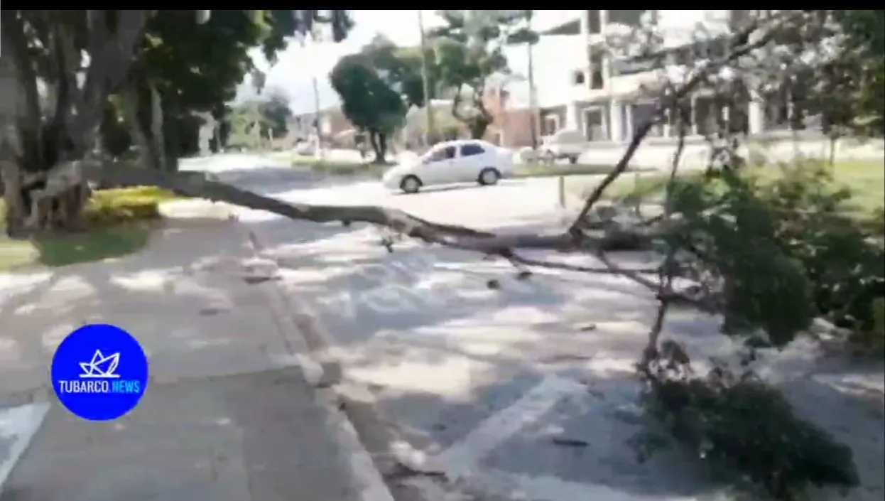 motociclistas