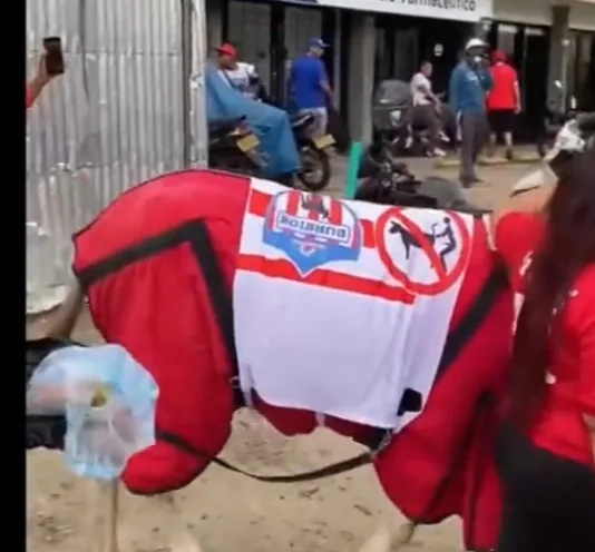 llevaron una burra al estadio Pascual América Junior