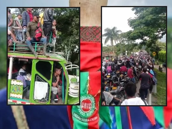 resguardo Florida Valle cultivos lícito
