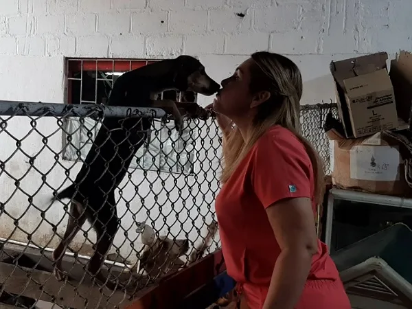 Malambo y la veterinaria que se convirtió el albergue de animales abandonados