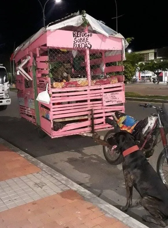 Alex y Rosita salieron desde Pasto con su 'Refugio sobre Ruedas' y van por toda Colombia salvando 'Peluditos'
