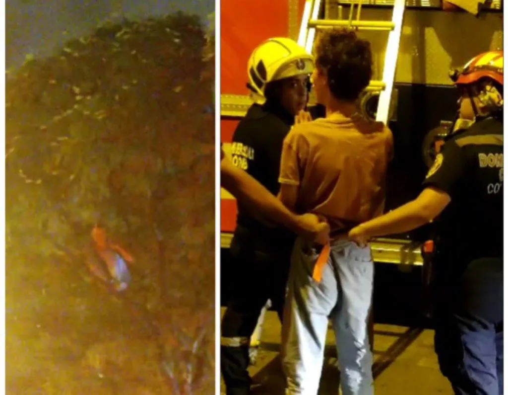 En Cali: joven se subió al árbol y amenazó con lanzarse, llegaron bomberos y policía, salud mental preocupa