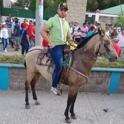 Veterinario