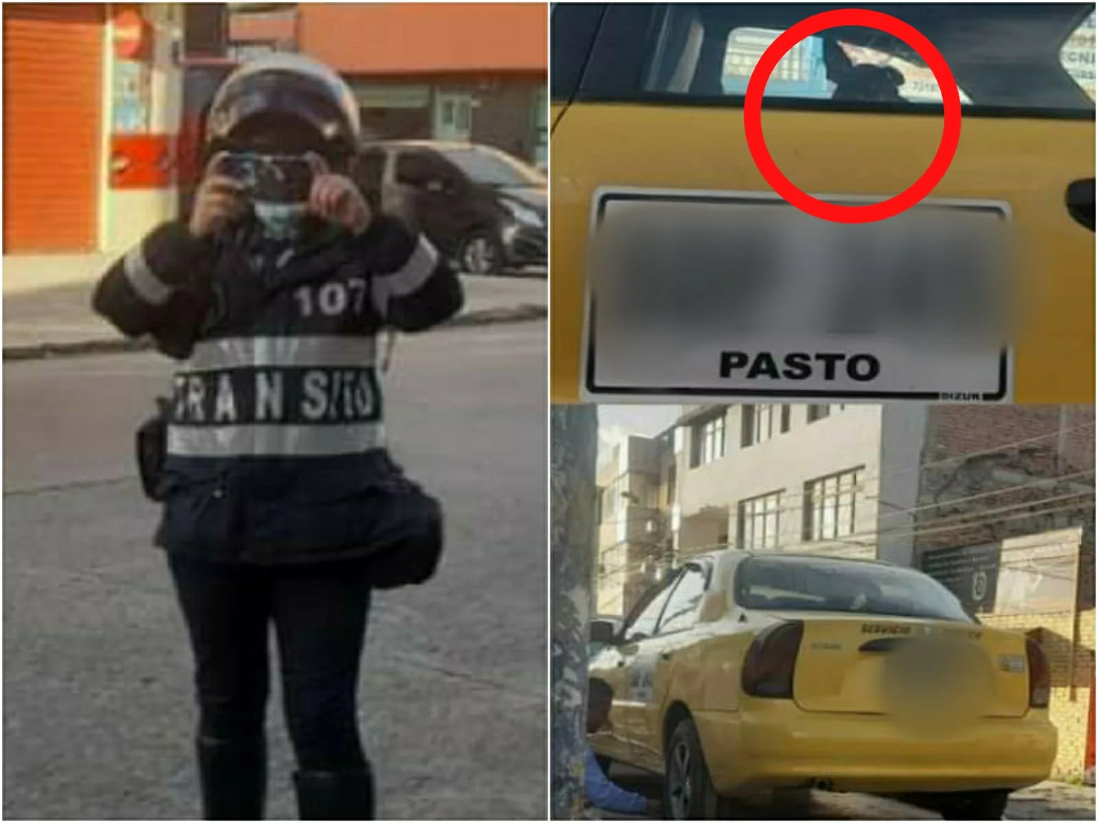 Se llevaron un taxi con todo y mascota para los patios