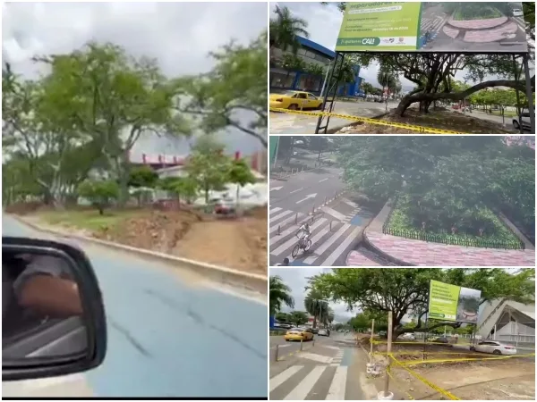 Sin semáforos, estaciones del MIO y calles destruidas: pero en Cali "se construye un gran jardín", prioridades y 'perlas'