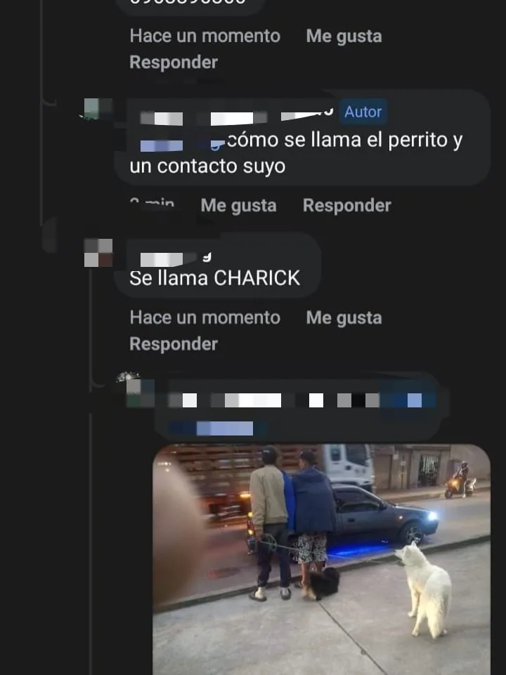 un perro