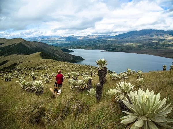 En Cumbal las comunidades indígenas le dijeron No a proyecto de explotación minera