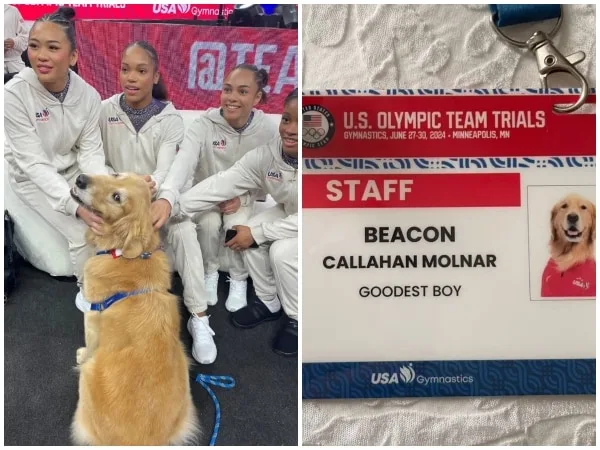 Beacon: el perro que conquista corazones y refuerza la salud mental del equipo de gimnasia de Estados Unidos