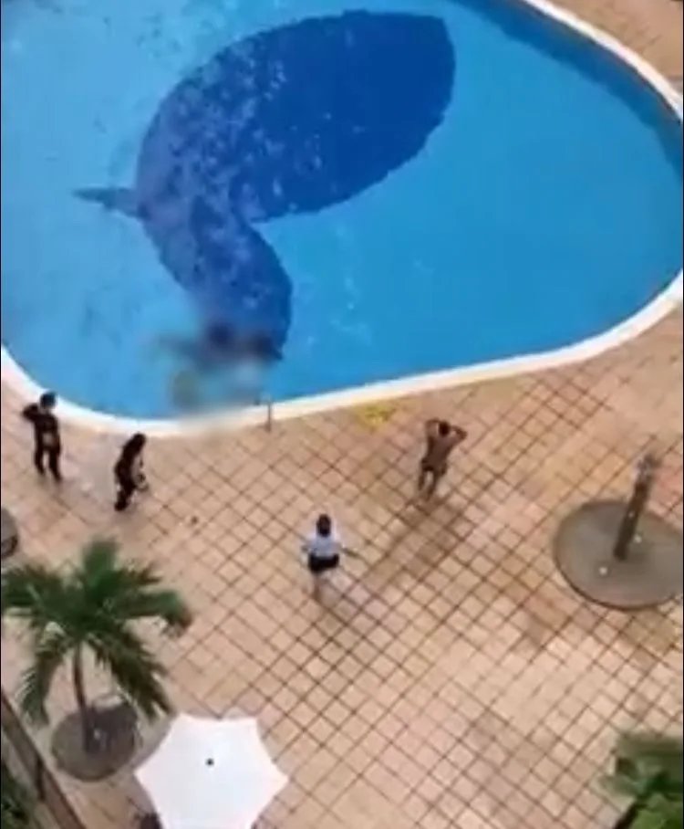 piscina electrocutados
