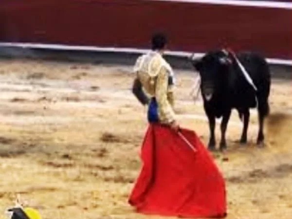 "No más toreo, no más toreo, no más toreo", gritaron en la sesión los congresistas que impulsaron el proyecto de ley que prohibió las corridas.