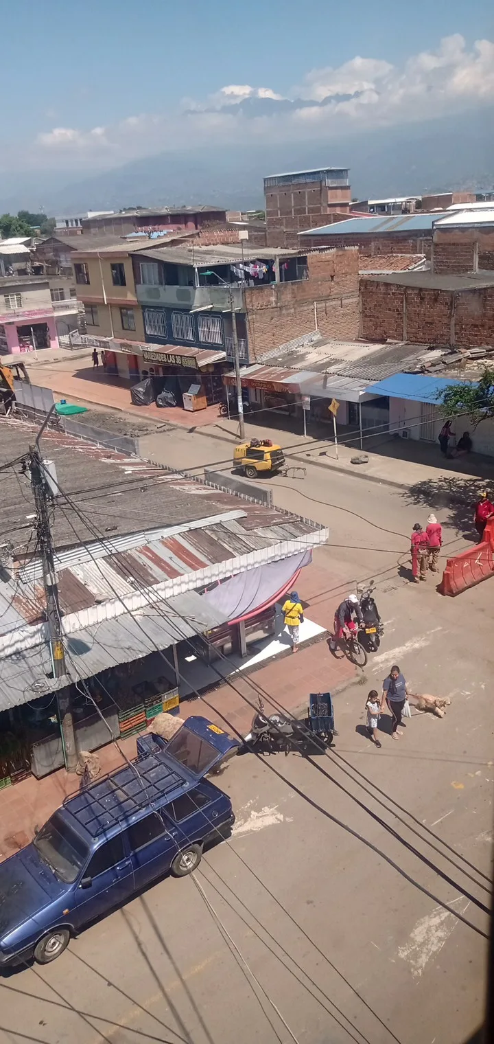 en la Nueva Floresta