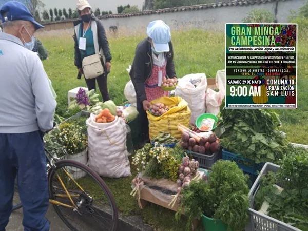 Decenas de familias en Pasto se alistan para la minga campesina en favor de la población vulnerable