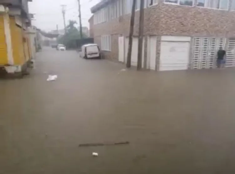 perro aguacero POblado Campestre
