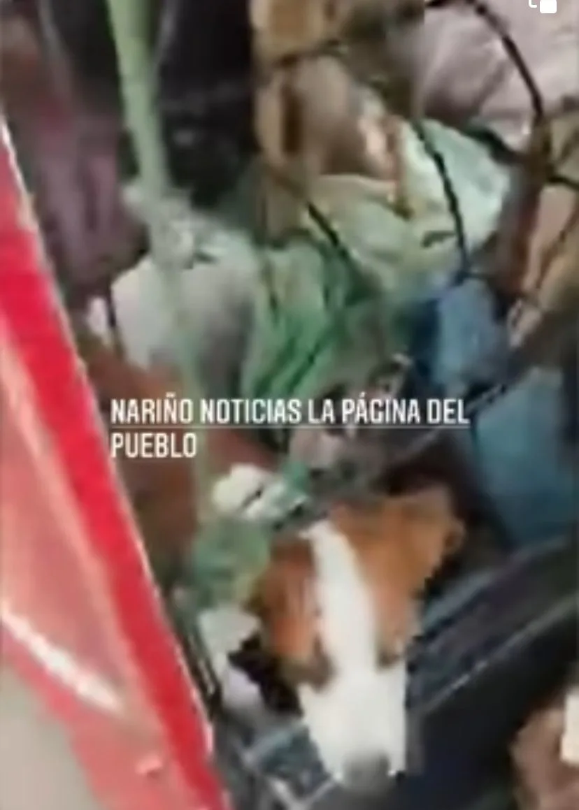 pareja moto carro