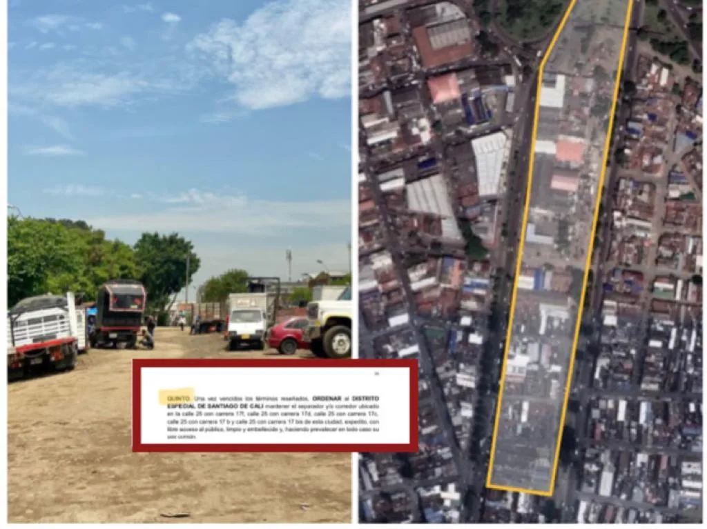 20 años abandonado el corredor ambiental de la calle 25, ahora Cali tiene que recuperarlo